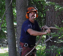 Greg Herz, Owner Herz Tree Service in Winterport Maine